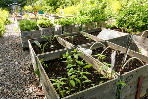 gardening