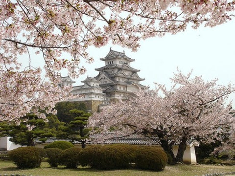 Himeji Castle