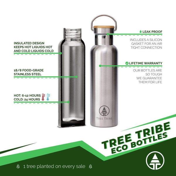 Insulated Stainless Steel Bottle with 