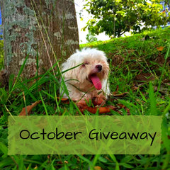 Pet Expo JB Giveaway