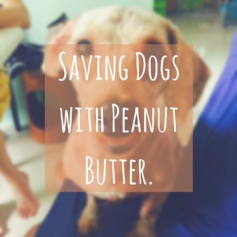 #BarkeryCares saving dogs with peanut butter