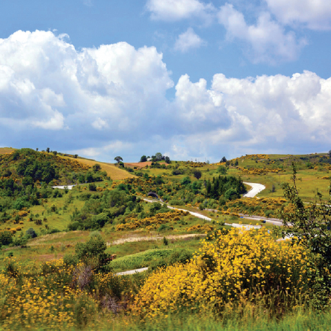 Molise Landscape