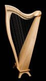 FH34 Harp by Dusty Strings
