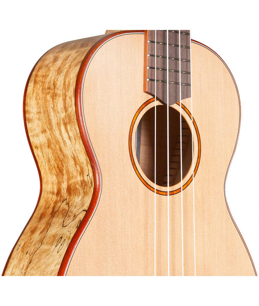Cordoba 24 Series 24T Tenor Ukulele
