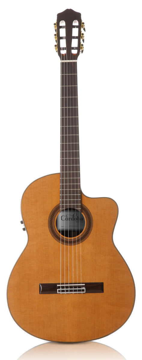 acoustic electric classical guitar