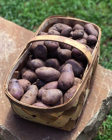 purple potatoes
