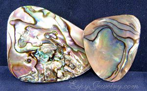 Abalone Pieces