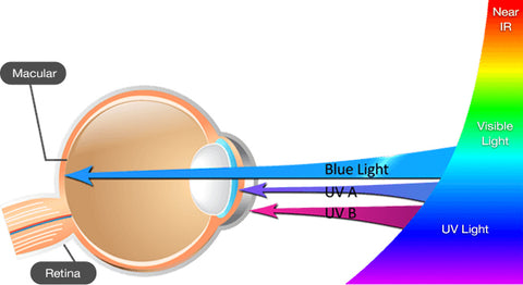 blue light macular degeneration
