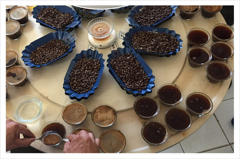 Cupping at the Perhusa Dry Mill in Peru