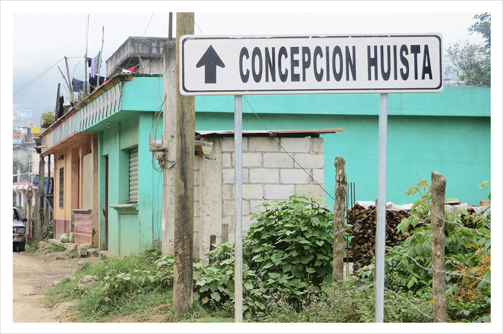 Guatemala Concepcion Huista - Cupping Room Collection