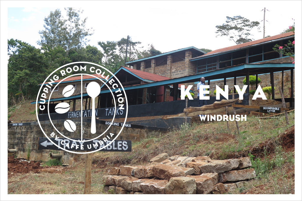Cupping Room Collection | Kenya Windrush Estates