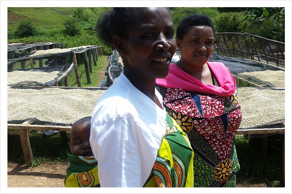 Rwanda Sholi, Women Produced Microlot, Cupping Room Collection