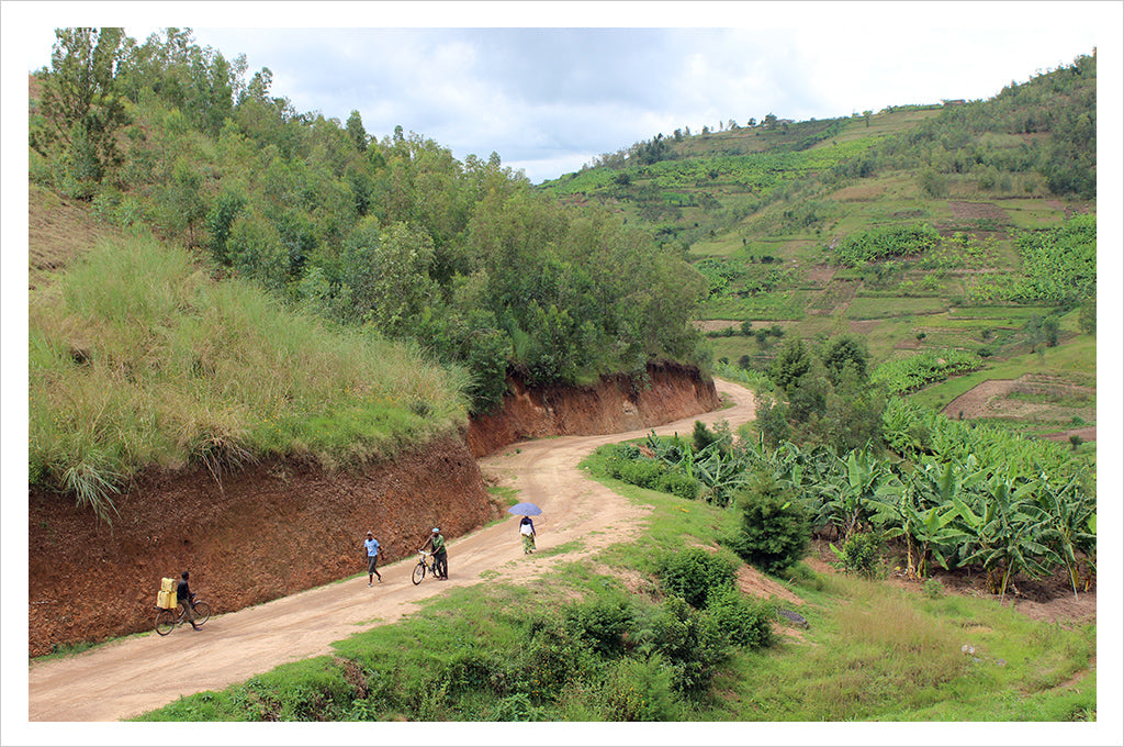 Cupping Room Collection Rwanda Sholi Women Produced Microlot