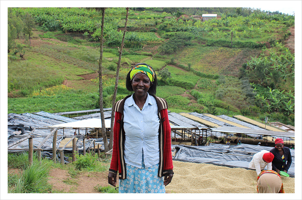 Cupping Room Collection Rwanda Sholi Women Produced Microlot 