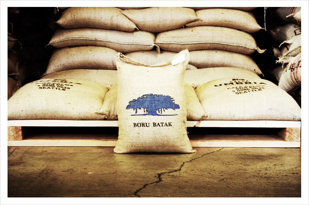 Sumatra Boru Batak Single Origin