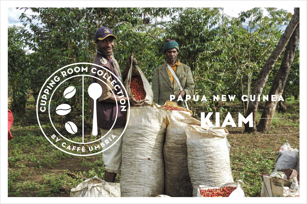 Cupping Room Collection | Papua New Guinea Kiam