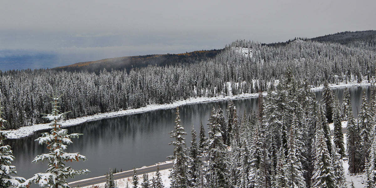 Colorado Hikes Colorado Outdoor Activities Grand Mesa Hiking Western Colorado Hiking