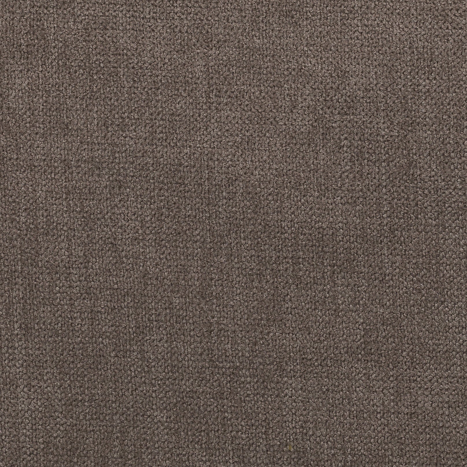 Queens Taupe