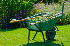 wheelbarrow on the lawn filled with yard waste