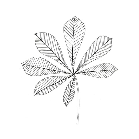 Lomond Paper Co . - 10 Different Ways to draw leaves