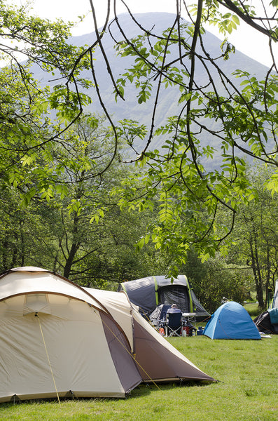 Lomond Paper Co - Camping, Glencoe