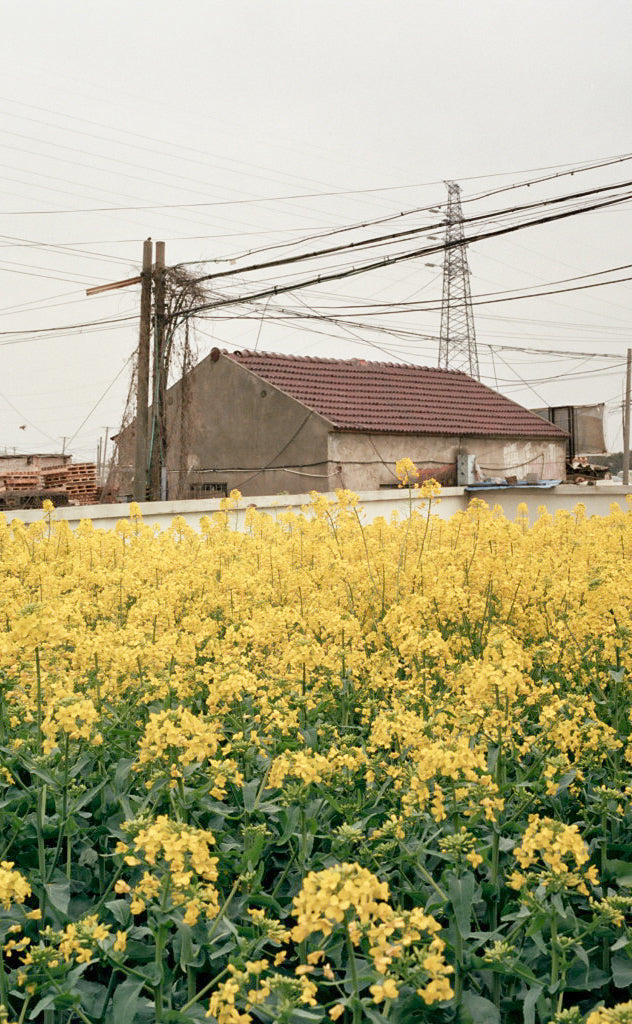 Field Test by Mission Workshop. Country: China. Featuring : John Watson, James Adamson, Factory Five, Werehaus, Ibis Bikes