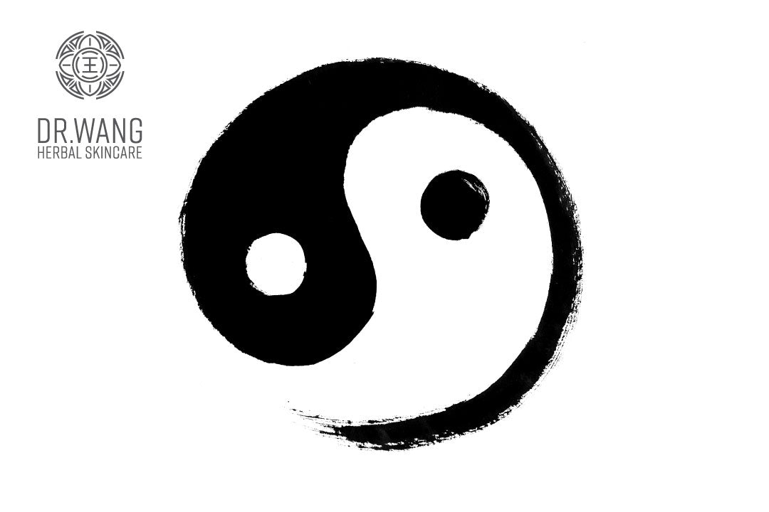 Understanding The Concept Of Yin And Yang In Traditional Chinese Medic Dr Wang Herbal Skincare