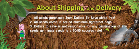 Dollars To Save Seeds Shipping Delivery 