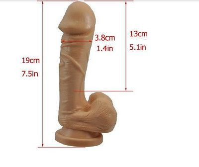 13cm penis