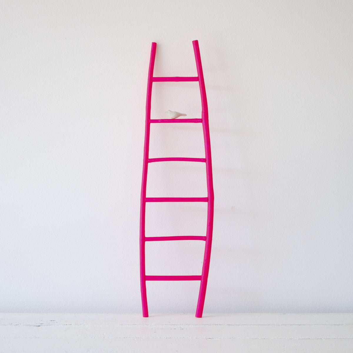 Ladder Greenhouse Interiors