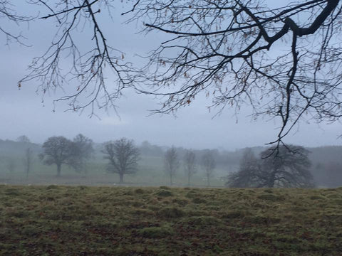 Clint Hills Misty Morning