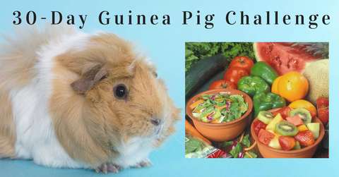 30-Day Guinea Pig Challenge photo