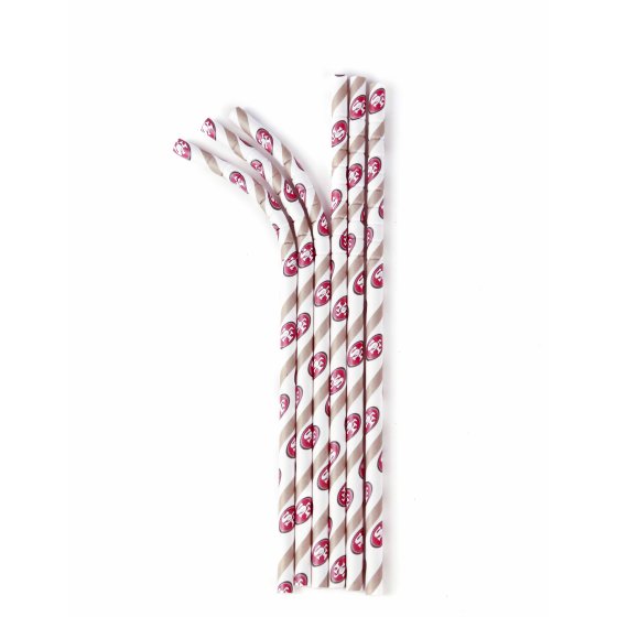 Aardvark Eco-flex Paper Straws, San Fransisco 49ers, 24 Ct