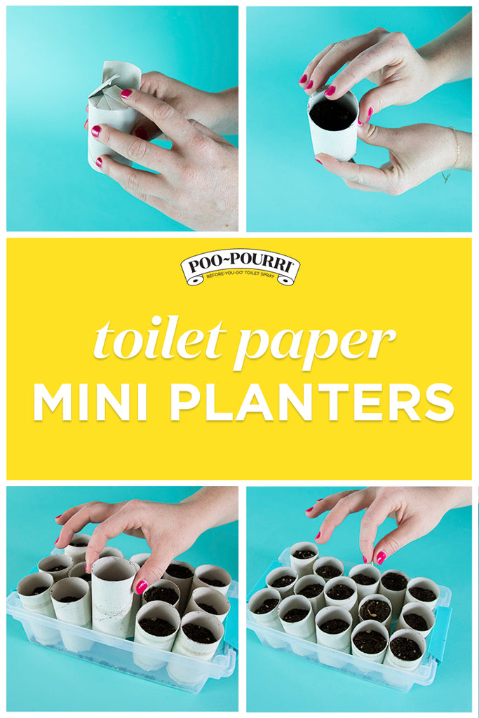Toilet Paper Planter How To 