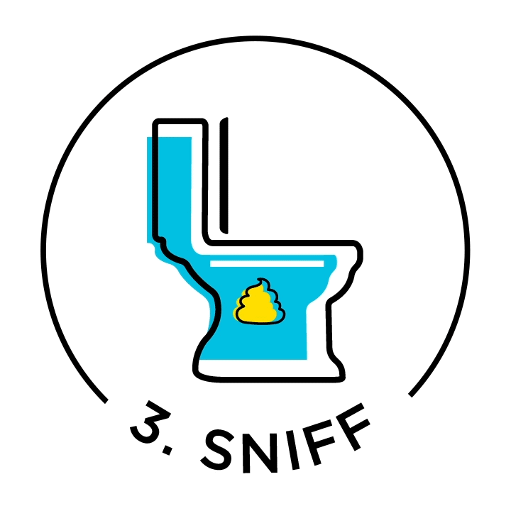 3. Sniff