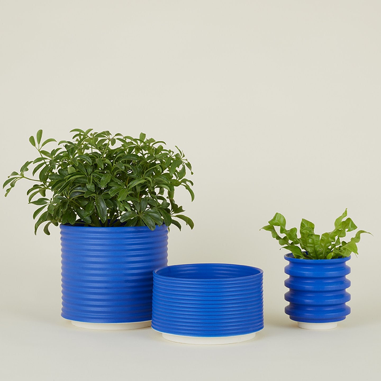Contour Oblique Planter - Electric Blue