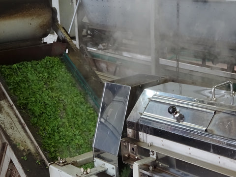 The Steepery Tea Co. - Watanabe tea garden processing equipment