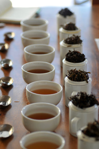 The Steepery Tea Co. - Professional Tea Cupping line
