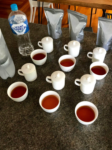 The Steepery Tea Co. - water experiments with Brita filter and Mount Franklin water