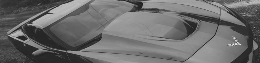NEW ACS Stingray Extractor Carbon Hood