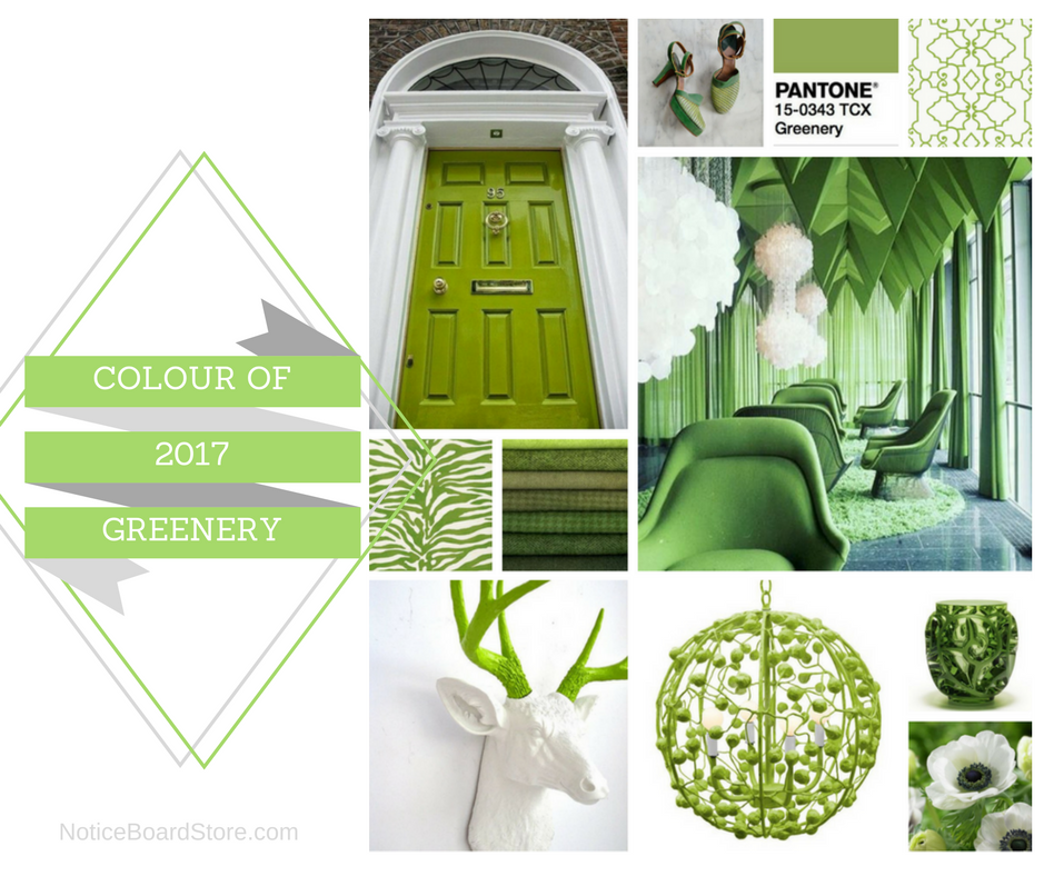 Greenery Pantone Green Colour Trends 2017 NoticeBoardStore