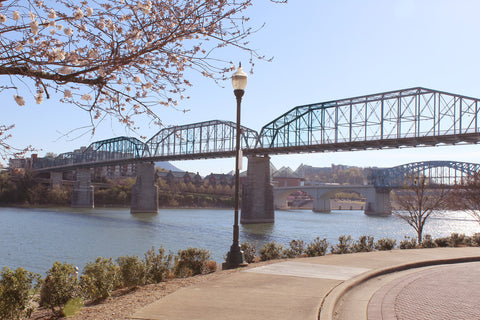 The Chattanooga Butter Company - Buy Coconut Oil Blended, Fruit Infused Butters!