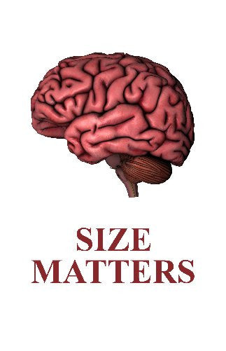 Human Brain Size Humor Art Mug Photo Coffee Mug