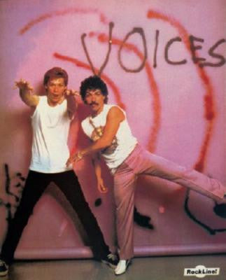 Hall And Oates Poster 24in x 36in - Fame Collectibles