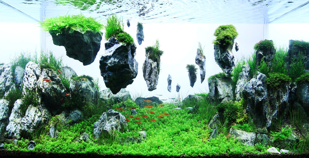 Aquascaping Style
