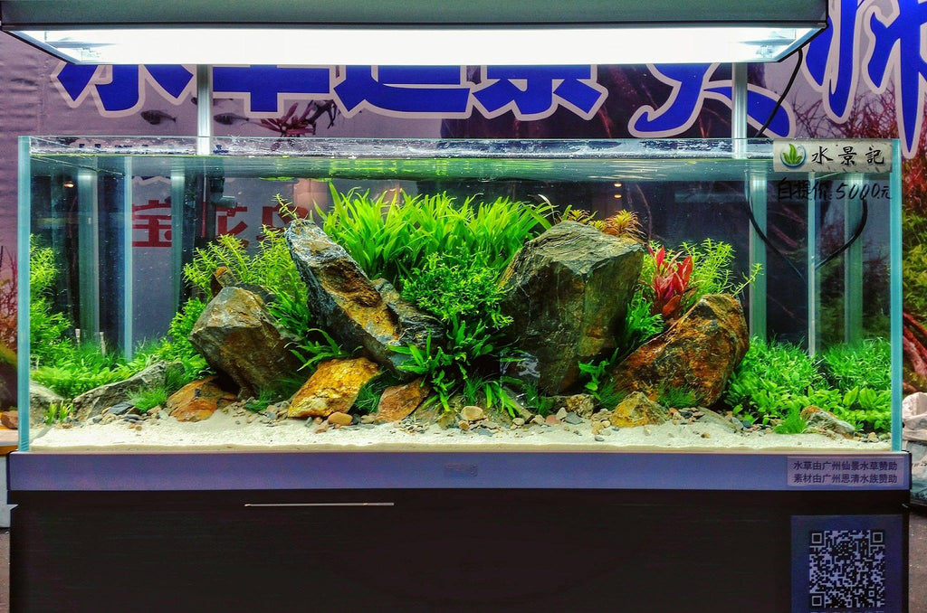 Aquascaping ideas