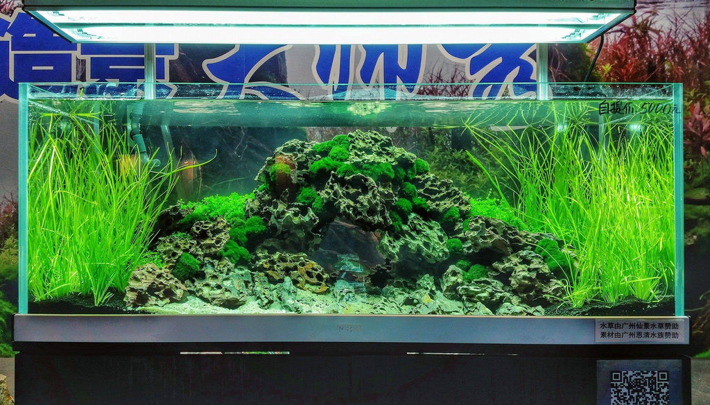 aquascaping style