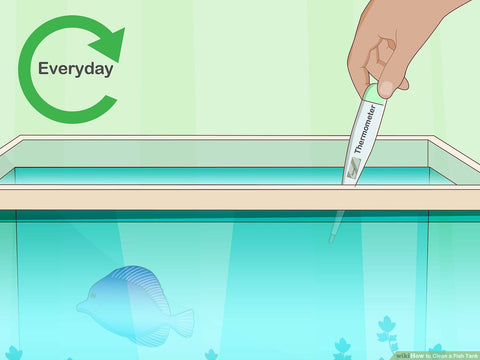 How to clean an aquarium