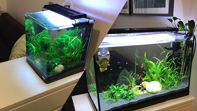 Mini Desktop Fish Tank