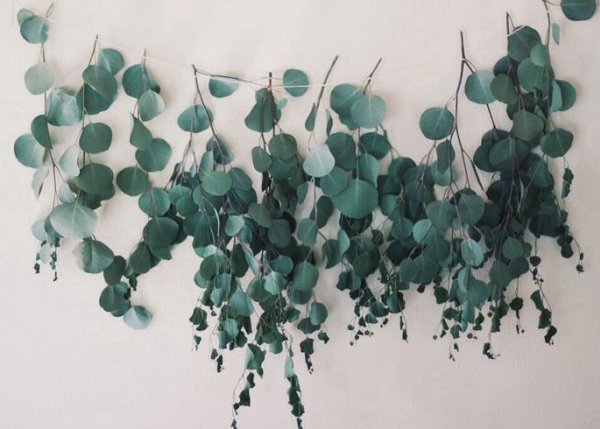 Christmas Inspiration: 5 Easy Ways to Use Eucalyptus for Festive Decor